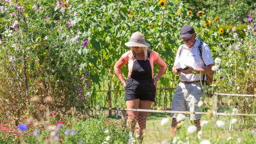 Visitors in the Cut Flower Garden at Cotehele, Cornwall
